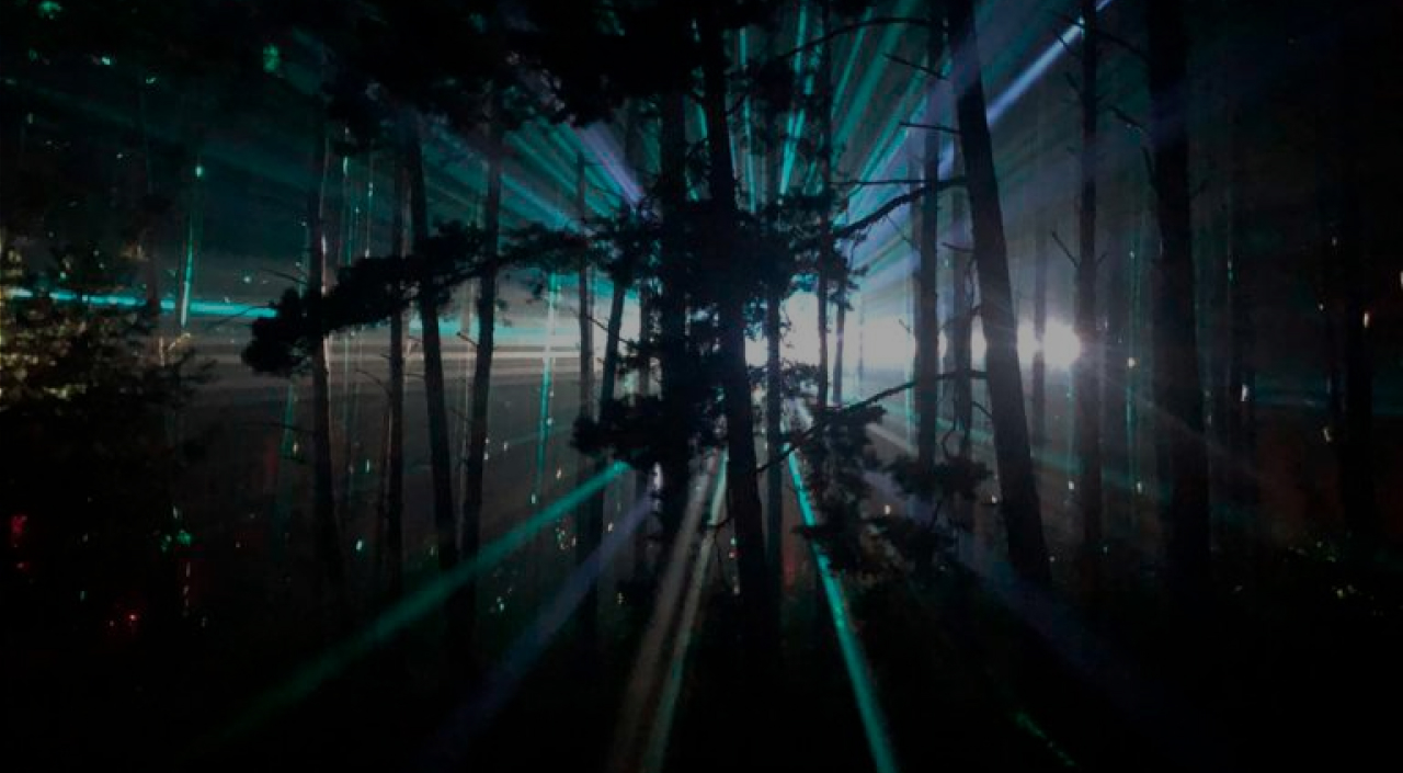 light forest